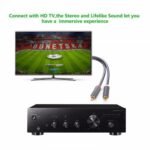UGREEN 10519 2RCA Male to 2RCA Male Audio Cable - 3m (Black) - Image 2